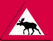 (moose logo)
